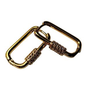 Carabiner Lock Shape Earrings